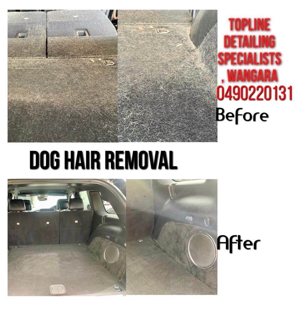 Dog hair removal